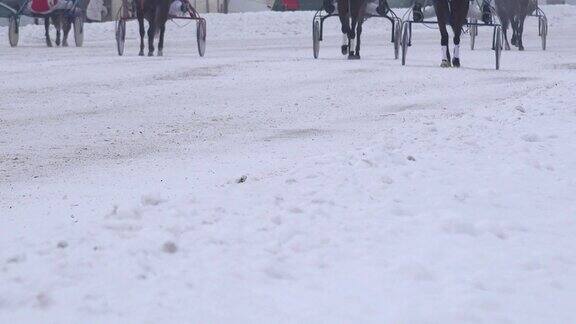冬天在雪道上骑着四轮马车的赛马腿变暖了FullHD