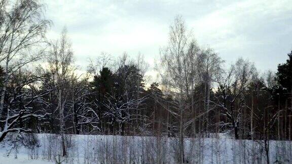 从移动的汽车或火车的窗口拍摄冬季森林的视频镜头从被雪覆盖的树木、灌木和雪堆旁边经过柱子在镜头前闪烁有时傍晚的太阳穿过云层和树林