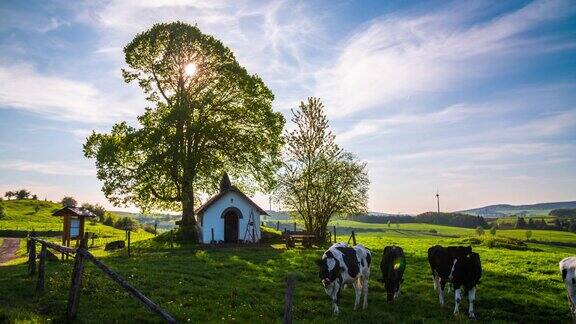 田园诗般的牧场与奶牛在德国-起重机射击