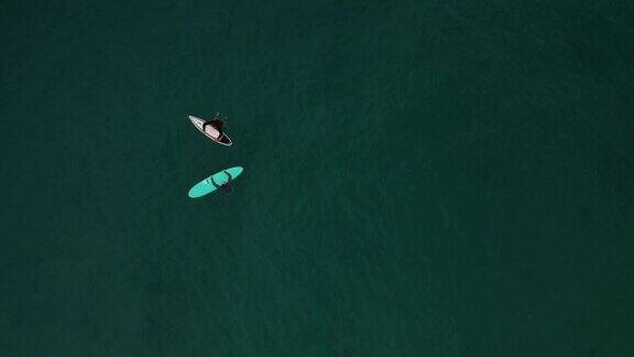 两个冲浪者在等待海浪