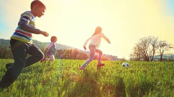 孩子们在阳光明媚的草地上踢足球