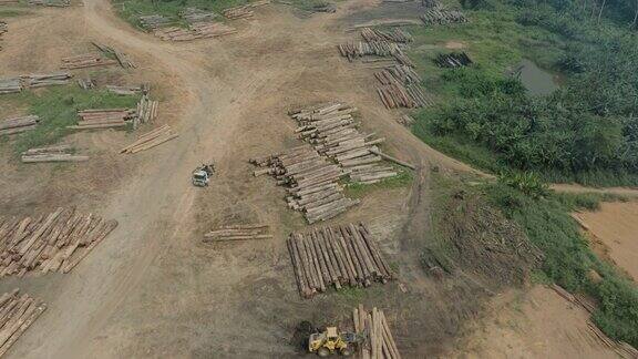 空中缩放收获的热带雨林原木躺在一个伐木场气候变化森林砍伐