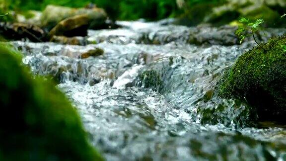 小溪里的水流