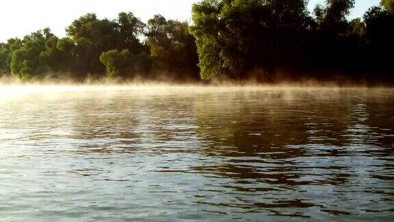 多瑙河上的晨雾