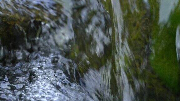 SLO-MO特写的水晶般清澈的水轻轻地流过光滑的岩石在林地