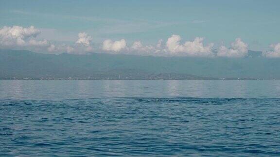 石竹海豚跃出水面
