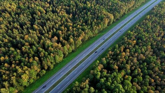 道路交通鸟瞰图公路在森林里秋天有树
