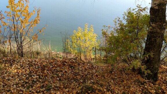 河岸上的秋景