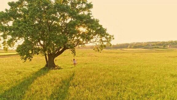 空中女子在乡村的一棵树上荡秋千