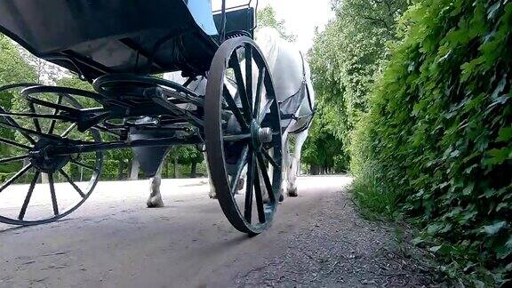 马车穿过维也纳的公园奥地利