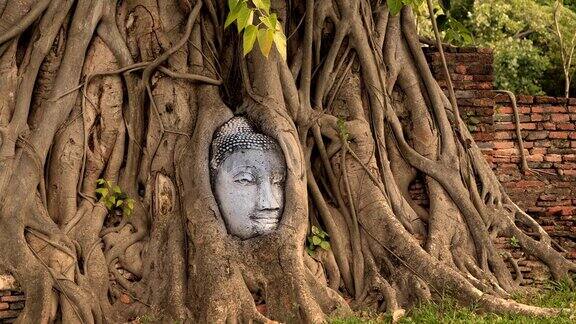 佛头寺位于泰国著名的旅游胜地榕树寺至少省