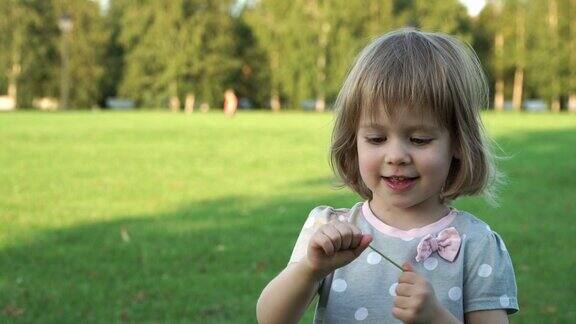 小快乐可爱的3岁女孩的肖像抱着蓬松的蒲公英试着吹花的种子笑着在夏天公园的绿色草坪上特写镜头