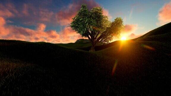 山上日落时的一棵树