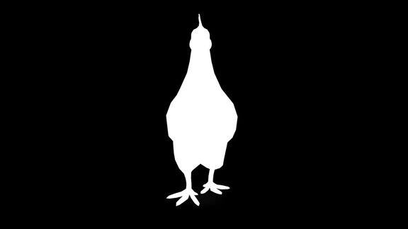行走的鸡在黑色背景剪影动物野生动物游戏回到学校3d动画短视频电影卡通有机色度键角色动画设计元素循环
