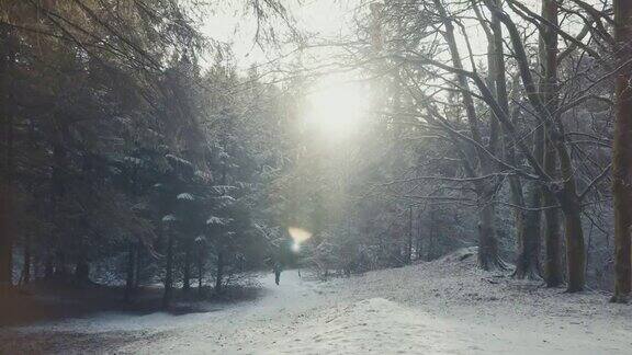 雪天里在森林里徒步旅行的妇女