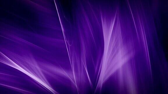 抽象紫色曲线(可循环)