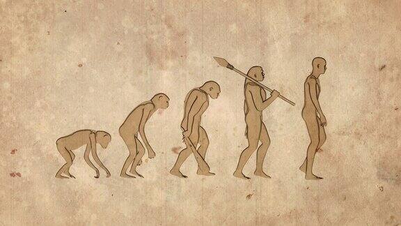 人类的进化过程