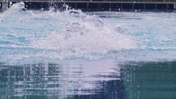 运动员在泳池中游泳