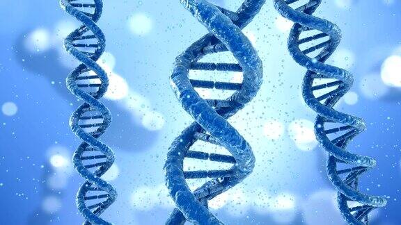 DNA分子概念医学精确3D动画