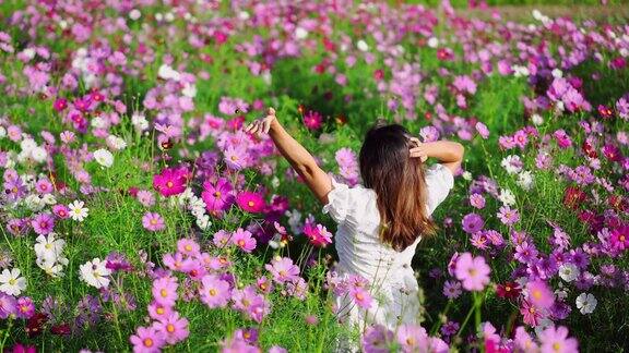 年轻的女性旅行者在早晨与盛开的宇宙花田放松和享受旅行的生活方式概念