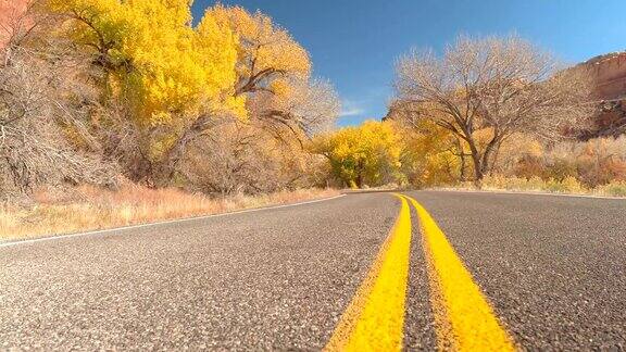 在阳光明媚的秋日黄线标志着穿过红色峡谷的道路