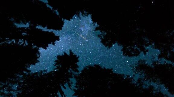 银河和流星在树梢之上