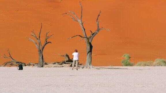 非洲纳米比亚一位女游客在拍摄Deadvlei树