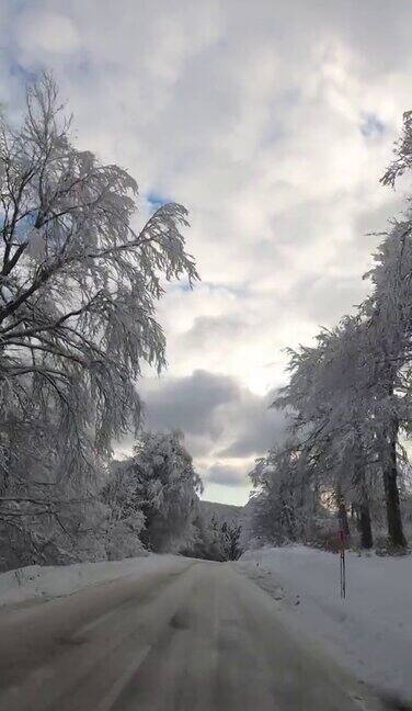 驾车穿过雪原森林