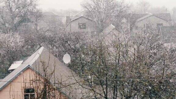 在春天雪雪花落在枝繁叶茂的街道上