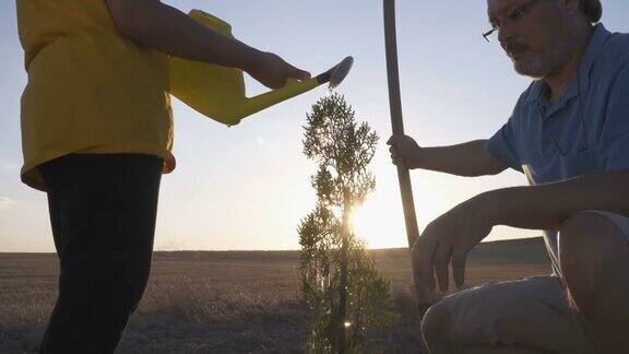 男孩和他的父亲在种完树后给树浇水