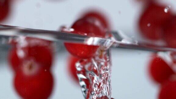 蔓越莓溅入水中缓慢的运动
