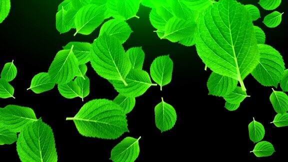 许多明亮的绿叶在空间中电脑生成抽象背景3D渲染