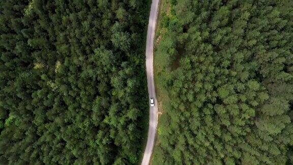 穿越森林的公路旅行