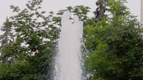 喷泉的水溅到绿色的树叶上-慢镜头