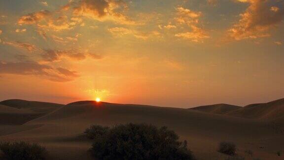 印度焦油沙漠的日出全景图