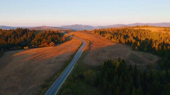 一架无人机在夕阳下穿过针叶林的道路上飞行