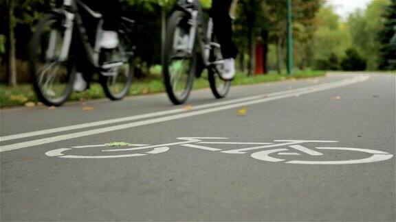 在有自行车标志的马路上骑自行的人