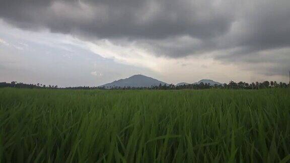 武吉梅塔贾姆、切罗德昆山阴雨天