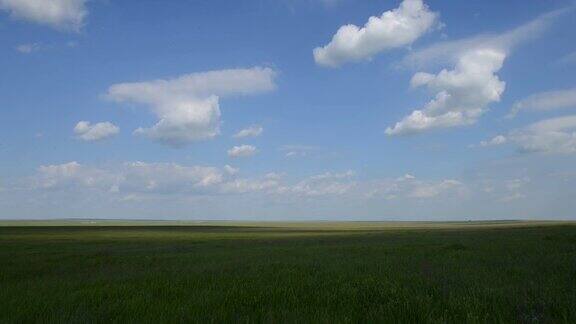 绿草草地和云蓝色天空