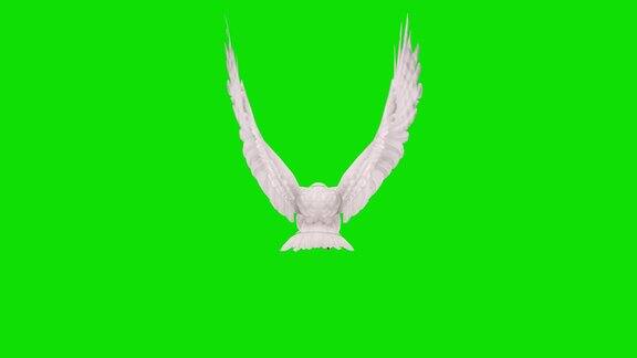 绿色屏幕上的白鹰飞行动画概念动物、野生动物、游戏、返校、3d动画、短视频、电影、卡通、有机、色度键、角色动画、设计元素、可循环