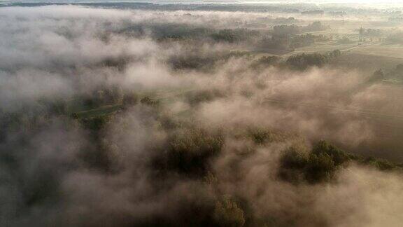 田野和树林上空的雾云日出的时间空中