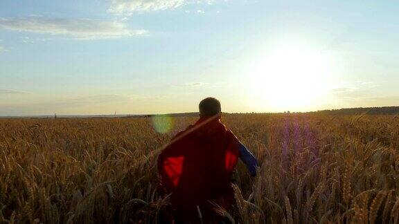 一个披着超人斗篷的男孩站在金色的田野里