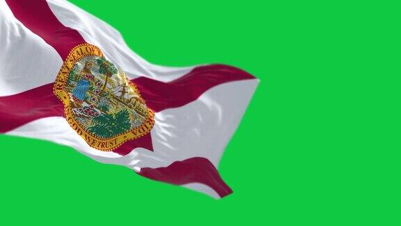 佛罗里达州旗在绿色背景上独立飘扬的特写镜头
