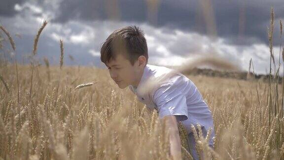 一个有趣的男孩在麦田里摸着麦子慢动作在户外