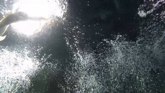 一条银色的龙鱼漂浮在水面的波纹上带着泡泡和光亮