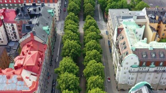 斯德哥尔摩市中心的鸟瞰图公寓楼绿色街道