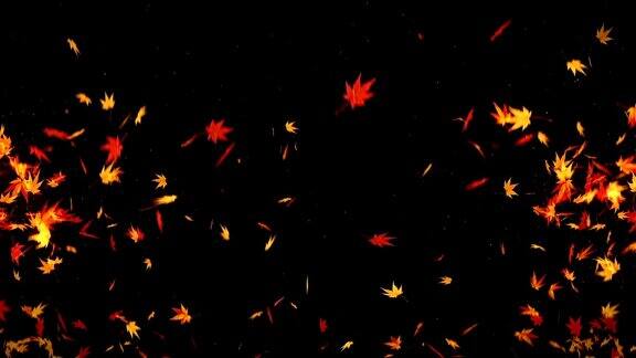 秋叶落在黑色背景上枫叶循环闪烁动画