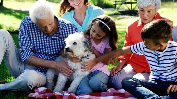 几代同堂的一家人和他们的狗在公园里玩