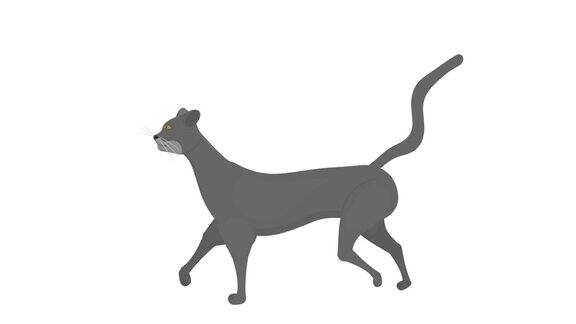 猫一只行走的猫的动画卡通