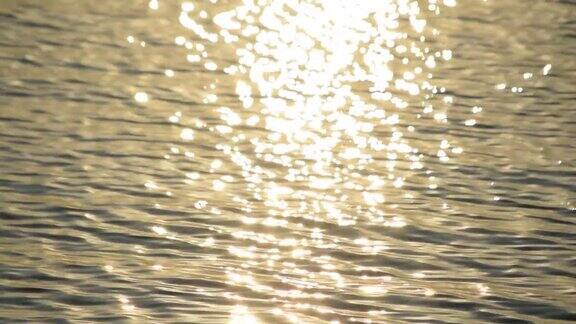 阳光洒落在水面上金色的阳光在阳光下闪烁